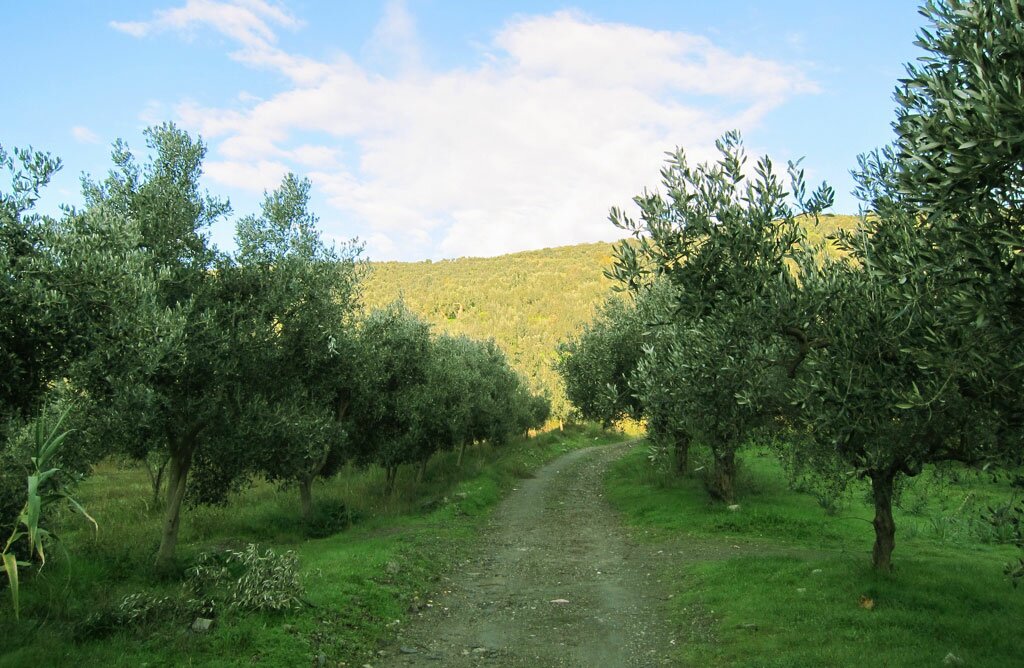 Kalimera Extra Virgin Greek Food